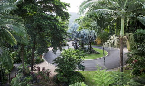 Oasis At Palm Cove - Holiday Cairns 7