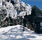 Arlberg Hotel Mt Buller - Holiday Cairns