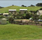 Ace Hi Riding Ranch - Holiday Cairns