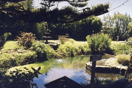 Bayside Gardens
