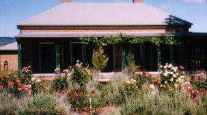 Old Wallinga Country - Holiday Cairns 0