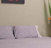 Stingo Hotel - Holiday Cairns
