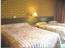 Bega Village Motor Inn - Holiday Cairns 3