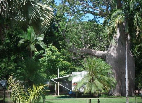 Kimberleyland Holiday Park - Holiday Cairns 5