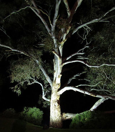 Tally Ho Lodge - Holiday Cairns 3
