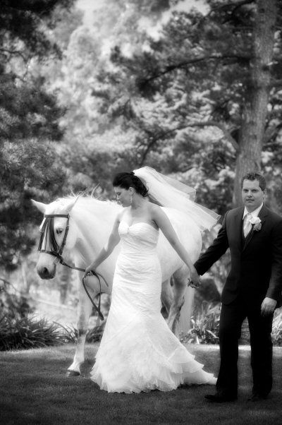 Tally Ho Lodge - Holiday Cairns 6