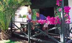 Desert Palms Resort - Holiday Cairns 3