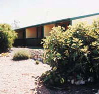 The Fig Tree Bed  Breakfast - Holiday Cairns
