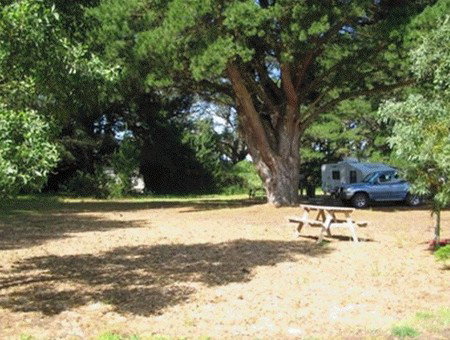 Millicent Hillview Caravan Park - Holiday Cairns 1