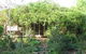Lemontree Cottage - thumb 5