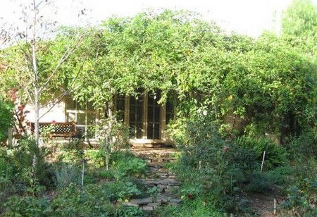 Lemontree Cottage - Holiday Cairns 5