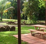 Virginia Heliconia Farm - Holiday Cairns