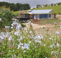 The Blue Grape Vineyard Accommodation - Holiday Cairns