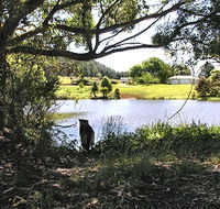 Newry Park Cottage - Holiday Cairns