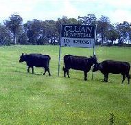 Cluan Homestead - The Managers Residence - Holiday Cairns