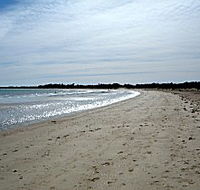 Greens Beach Caravan Park - Holiday Cairns