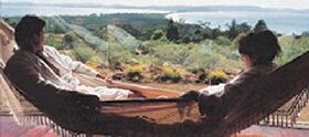 Morella Island Retreats P/L - Holiday Cairns 0