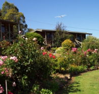 Mole Creek Holiday Village - Holiday Cairns