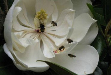 Huon Valley Bed And Breakfast - Holiday Cairns 5