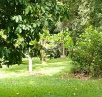 Kingfisher Park Birdwatchers Lodge - Holiday Cairns