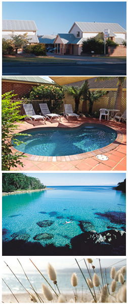 Dolphin Shores Motor Inn - Holiday Cairns 1