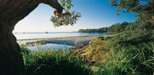 Dolphin Shores Motor Inn - Holiday Cairns 2