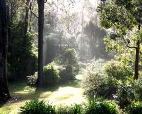 Casuarina Holiday Cottages - Holiday Cairns 1