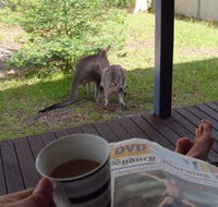 Bush and Bay Cottage - Holiday Cairns