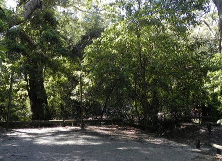 Booderee National Park: Green Patch Camping Area - Holiday Cairns 0