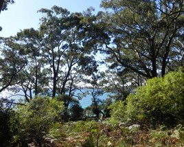Booderee National Park: Bristol Point Camping Area - Holiday Cairns 1