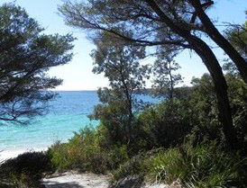 Booderee National Park: Bristol Point Camping Area - Holiday Cairns 2