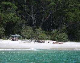 Booderee National Park: Bristol Point Camping Area - Holiday Cairns 3