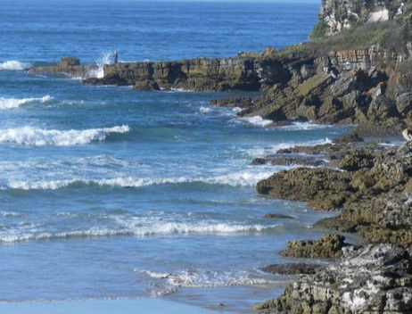 Booderee National Park: Cave Beach Camping Area - Holiday Cairns 2