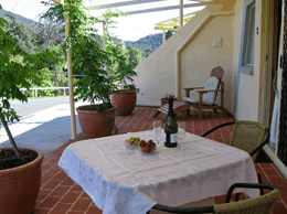 A View Of Mt Warning Bed And Breakfast - Holiday Cairns 2