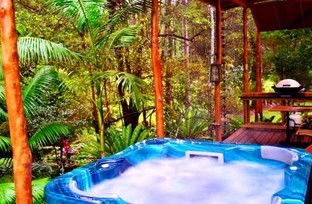 A Waterfall Hideout-Rainforest Cabin For Couples - Holiday Cairns 5
