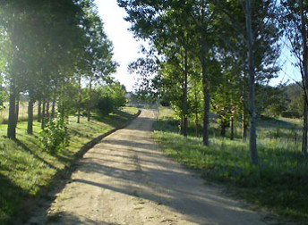 Mia Creek Bed And Breakfast - Holiday Cairns 0