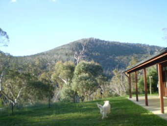 Mia Creek Bed And Breakfast - Holiday Cairns 5