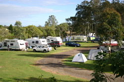 Dawson River Tourist Park - Holiday Cairns 1