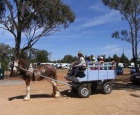 Ariah Park Camping Ground - Holiday Cairns 1
