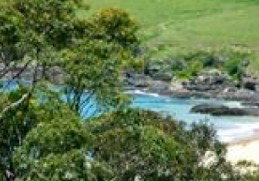 Aqua Bamboo - Holiday Cairns 0