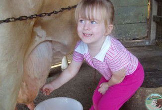 Ashmar Farm Stay - Holiday Cairns 5