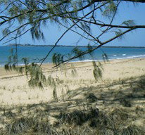 Seawinds Caravan Park - Holiday Cairns 1