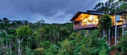 OReillys Mountain Villas - Holiday Cairns 1