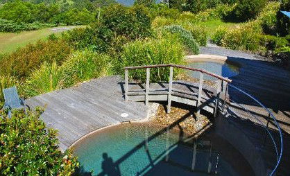 OReillys Rainforest Retreat - Holiday Cairns 4