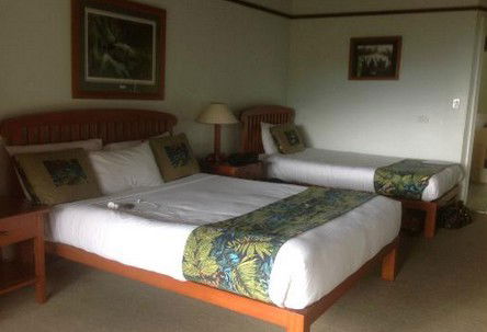OReillys Rainforest Retreat - Holiday Cairns 5