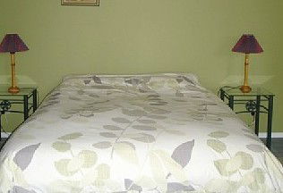 Grasstrees - Holiday Home - Holiday Cairns 4