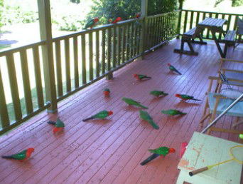 A Little Bit Of Heaven - Holiday Home - Holiday Cairns 8