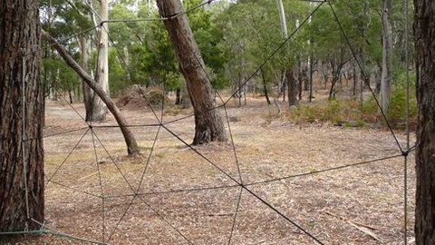 UC Camping Norval - Holiday Cairns 4