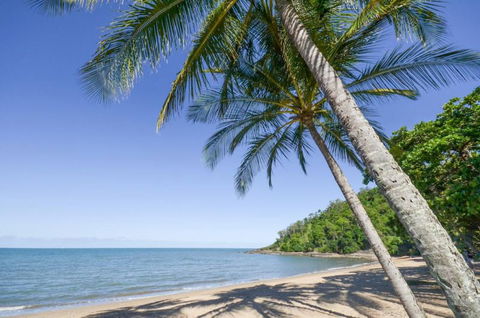 Roydon Beachfront Holiday Apartments - Holiday Cairns 4