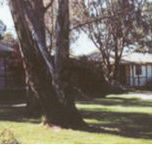 Winbi River Resort - Holiday Cairns